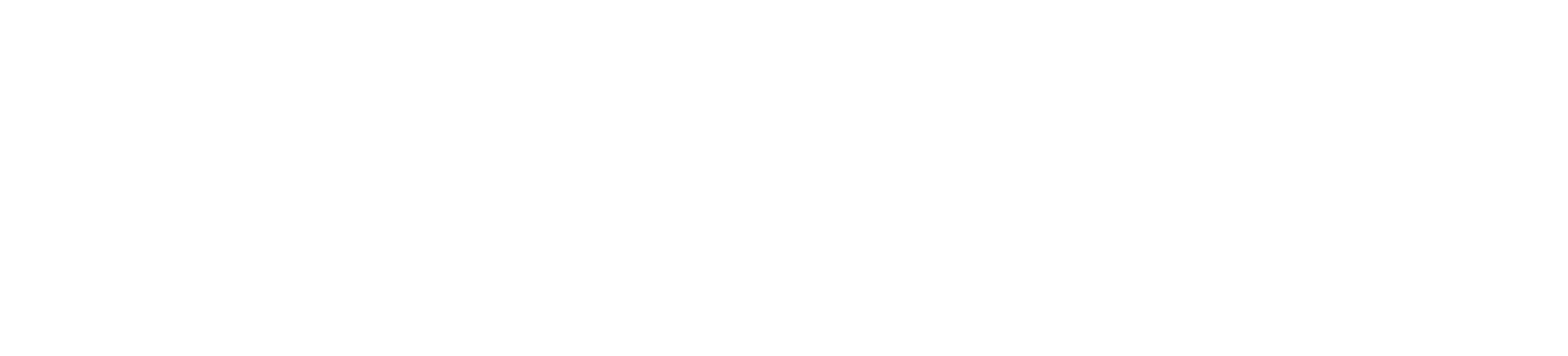 The Bibimbab Family of Companies